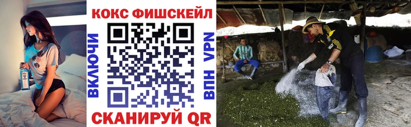 где можно купить Полярные Зори КОКАИН Эквадор