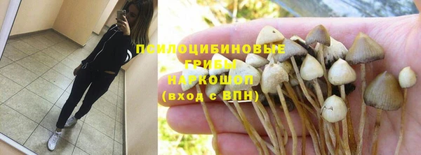 spice Пестово
